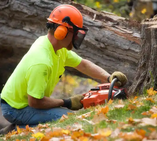 tree services Lindenhurst